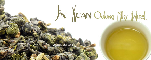 Jin xuan oolong Escale sensorielle