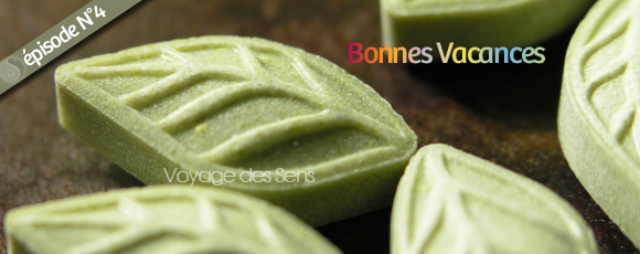 Thé vert sencha Bonbon - Escalesensorielle