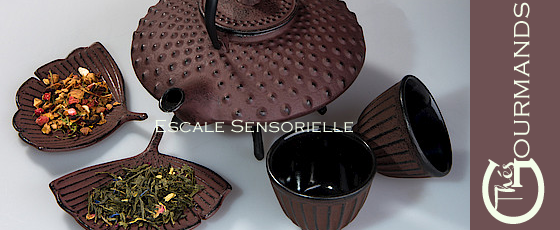 chocolat-thes-gourmand-escale-sensorielle