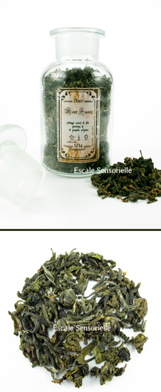 Mont huang thé vert top qualité Escale sensorielle