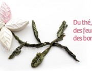 Bonbons au thé vert sencha