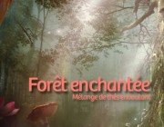 Forêt enchantée, mélange de thés envoutant