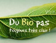 Thés biologiques, certifications et respect !