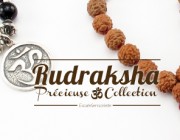 Rudraksha graines sacrées ou larmes de Shiva