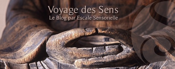 Voyage des sens – Prélude