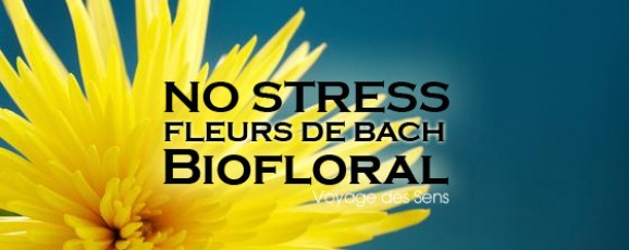 Fleur de Bach contre le stress
