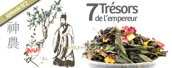 Thé parfumé: 7 trésors de l’empereur découvertes des thés Ep.02