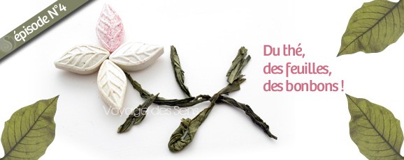 Bonbons au thé vert sencha