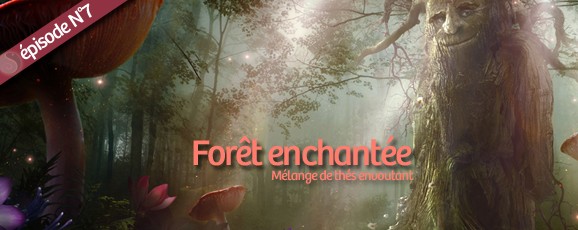 Forêt enchantée, mélange de thés envoutant