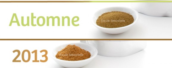 Matcha latte, rooibos latte, earl grey latte, thé noir latte. Quel sera le votre ?