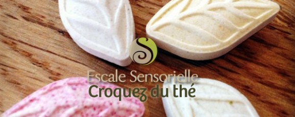 Bonbons au thé sencha, le concours
