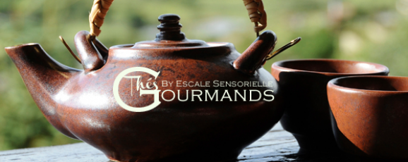 Thés au chocolat des gourmandises cacao thés !