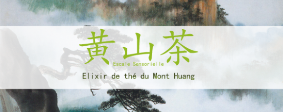 Thé vert grande origine Mont Huang