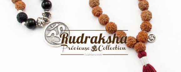 Rudraksha graines sacrées ou larmes de Shiva
