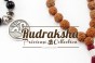 Rudraksha graines sacrées ou larmes de 