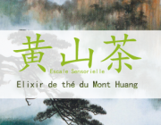 Thé vert grande origine Mont Huang
